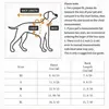 Fashion Cat Pet Dog Dress Sleeveless Cyan Flower Slim Style Cat Princess Dog Dresses Summer Clothes Puppy Skirt Chihuahua Bichon 6