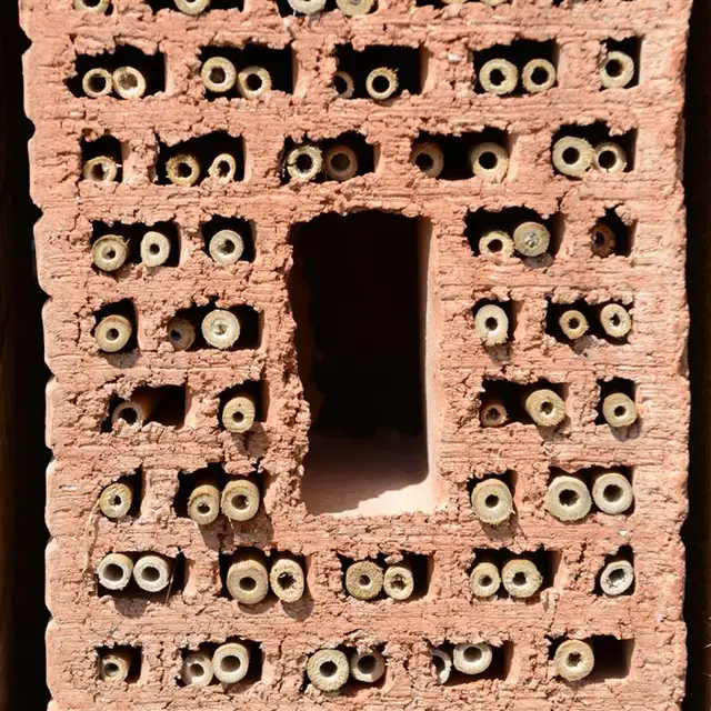 100 Darabos Természetes Nád Méhcsövek Méh Ház Csövek Üres Cső Méhsejt Beporzó Utántöltő Cseréje - Image 4