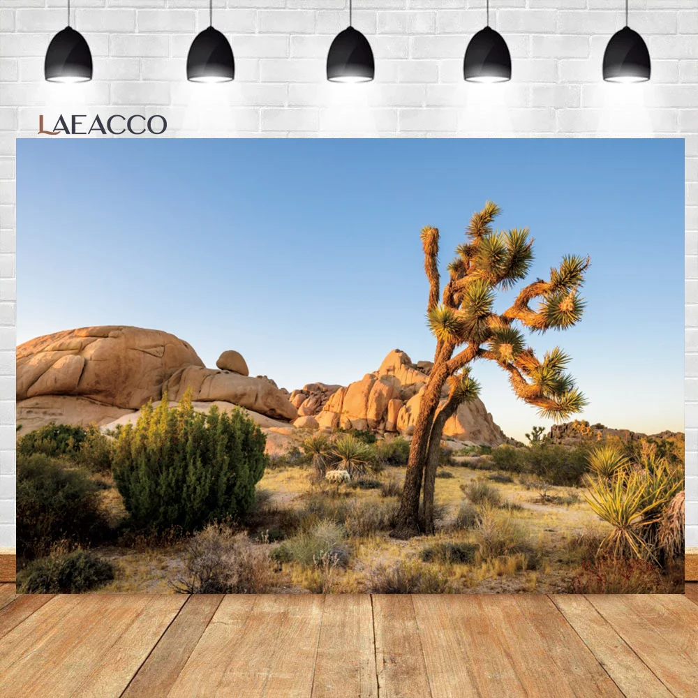 Laeacco  Ʈ   縷 ڿ ǳ        Ʃ