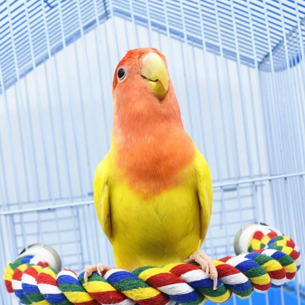 Pet Parrot Standing Perches U-shaped Colorful Bendable Cotton Rope Chew Toy Bird Supplies For Parakeet