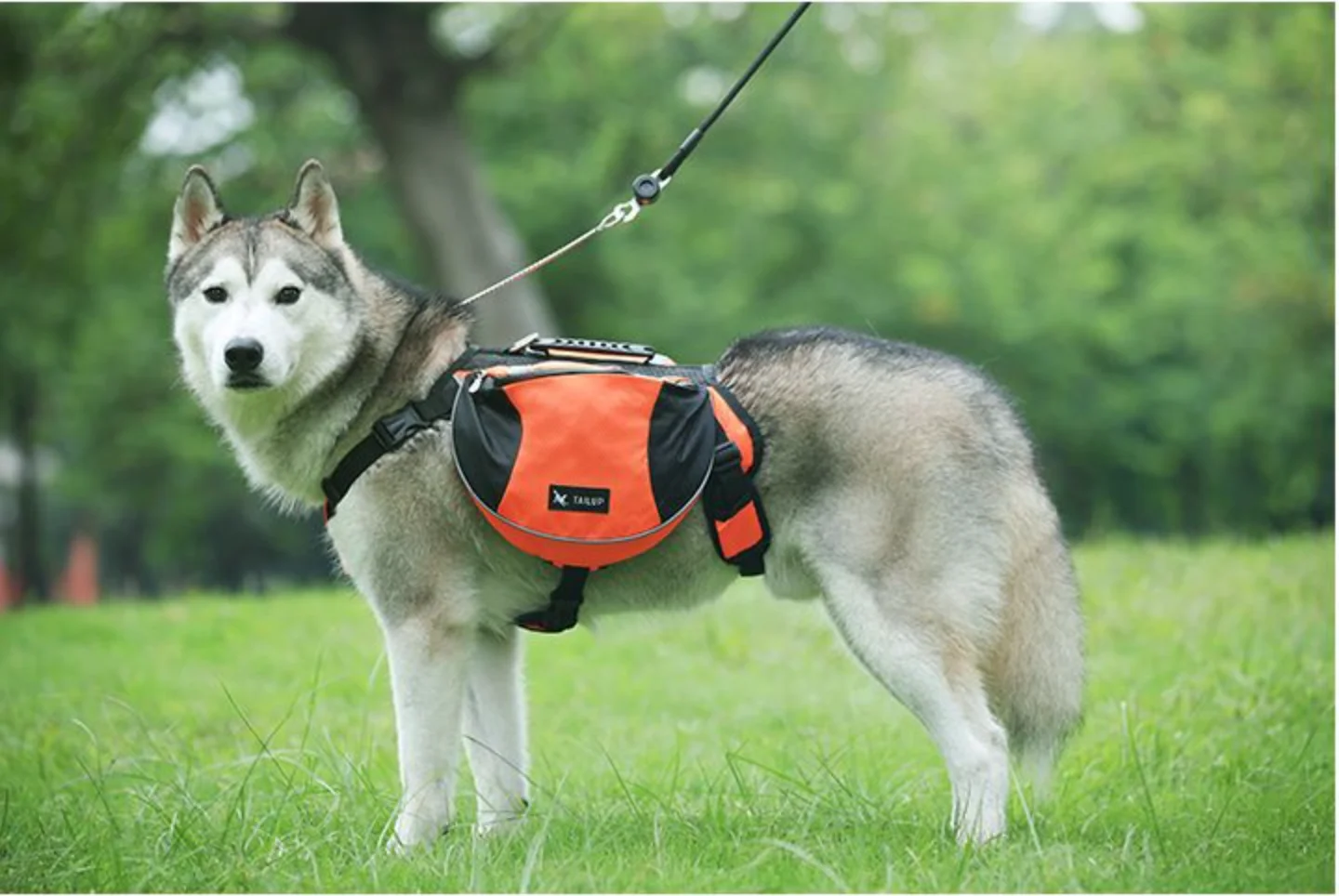 Pet Outdoor Backpack Large Dog Reflective Adjustable Saddle Bag Harness Carrier for Traveling Hiking Camping Safety pet carrier bag pet carrying bag pet backpack