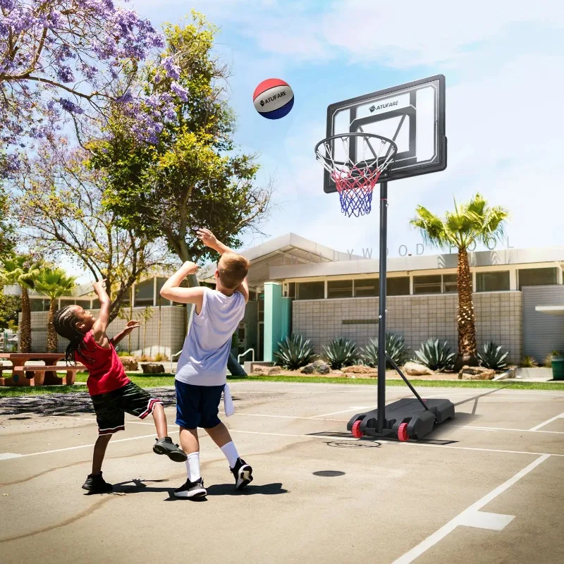 Lifetime Basketball Hoop Costco