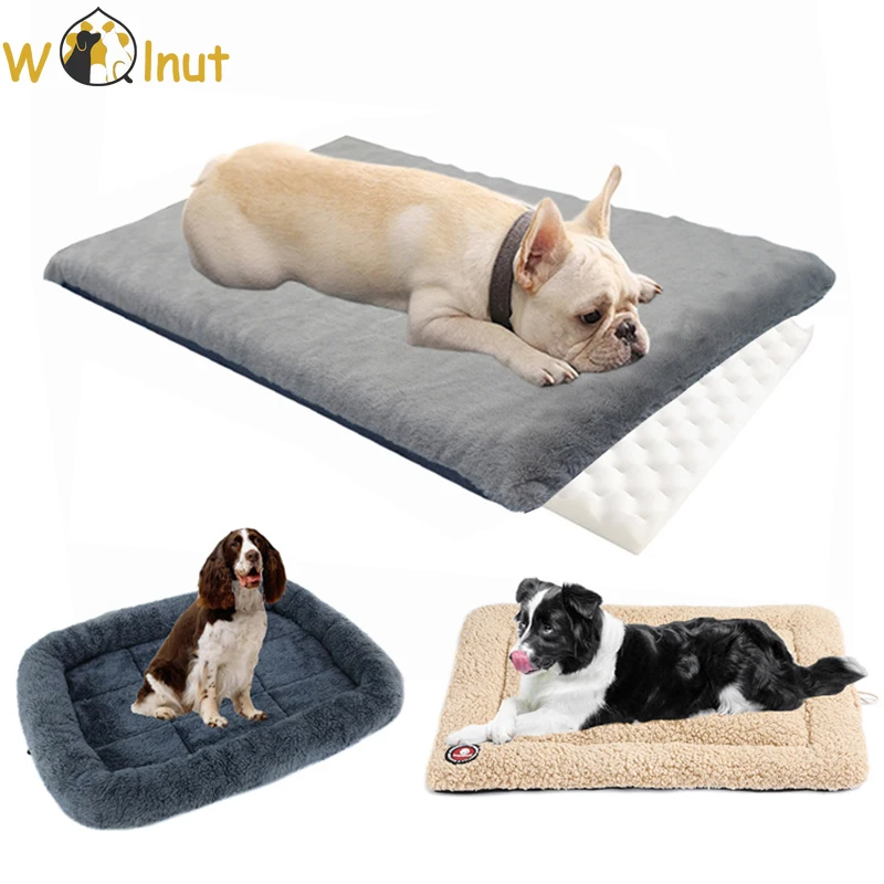 What Is An Orthopedic Dog Bed