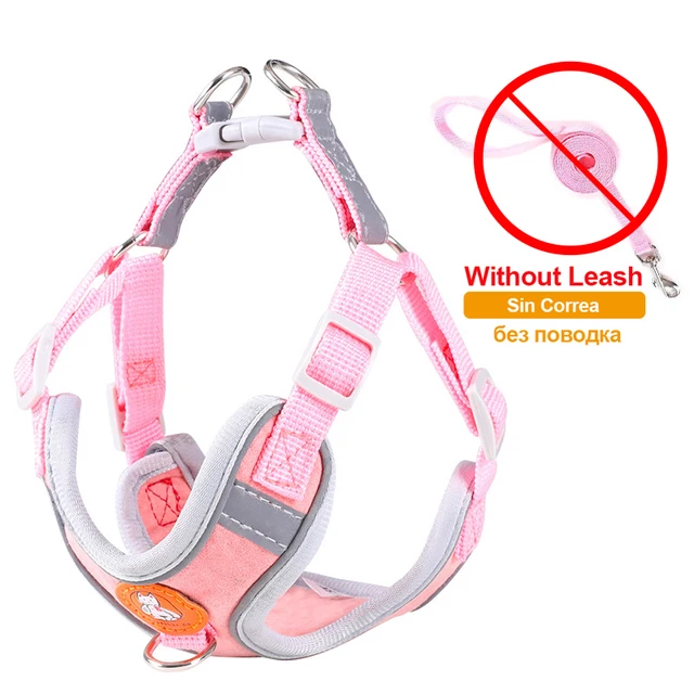 pink-no-leash