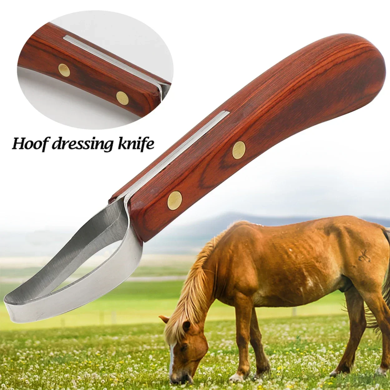 

Horseshoe Trimming Sheep Steel Handle Knife Double-edged 1pc Blade Ring Hoof Tools Cattle Wooden Stainless