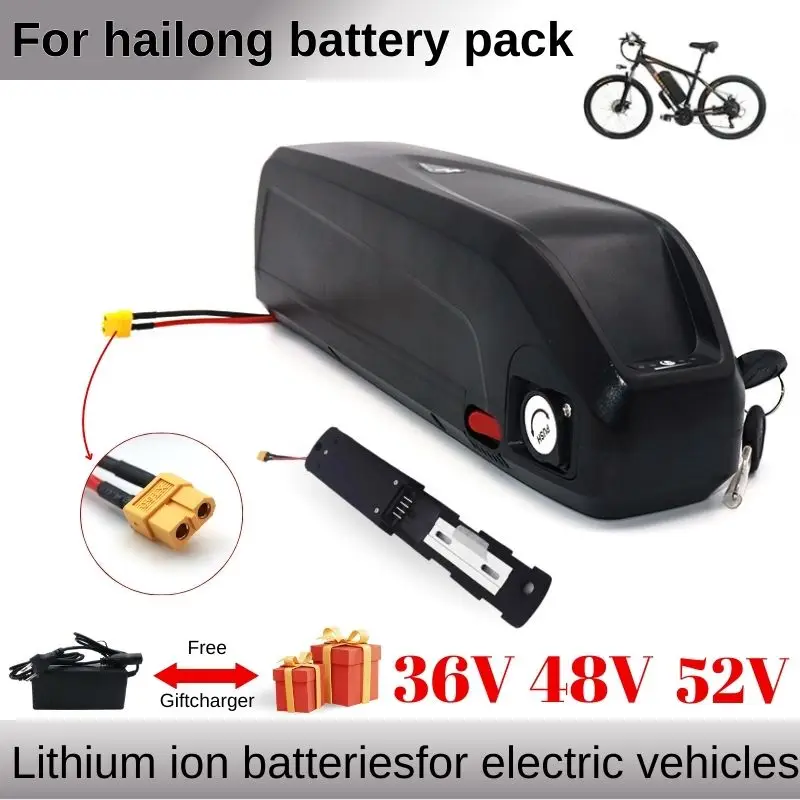 Hailong Electric Scooter Battery 36V 48V 52V 20Ah-30Ah for 250W~1000W Motorcycle/bicycle Waterproof Lithium Battery + Charger