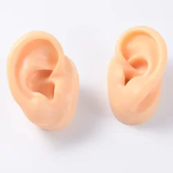 Soft Silicone Ear Model for Tattoo Practice and Jewelry Display Kit (Skin double ear)