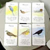 Divine Feather Messenger Oracle Card Games Inspirational Deck 10.3*6cm 44 Pcs Cards 5
