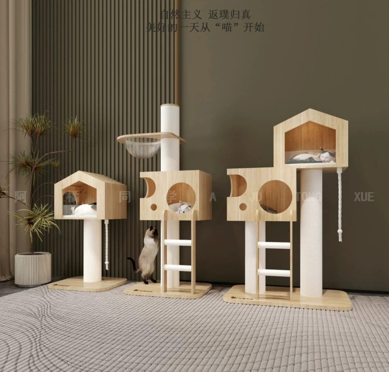 Solid wood cat climbing frame acrylic double-layer cat nest cat tree grinding claw column integrated