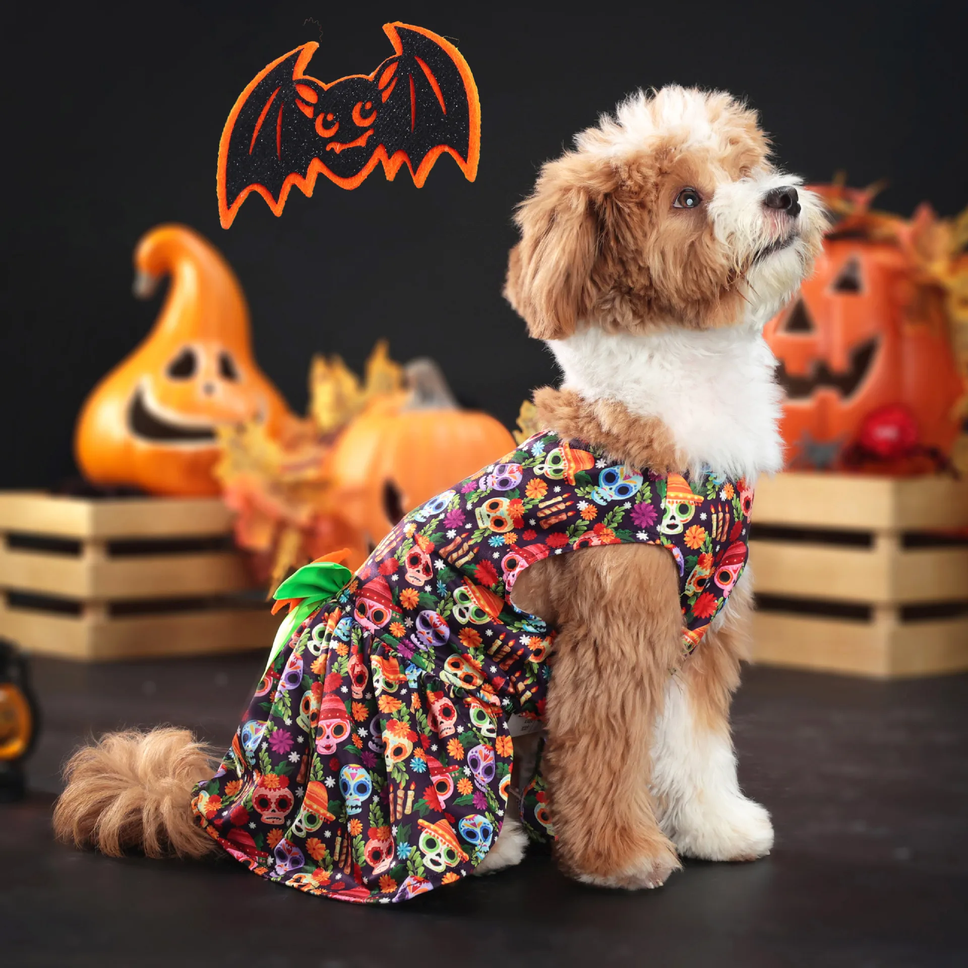 Robe Tête de Mort Amusante Halloween - Tenue Halloween 2024 - 2025 - Vêtement et accessoires pour chiens - Doglovedesign