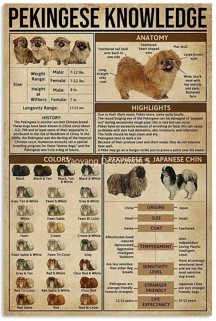 

Pekingese знания бар фотообои кофейный магазин клуб металлический знак 8x12 дюймов гараж Настенный декор табличка
