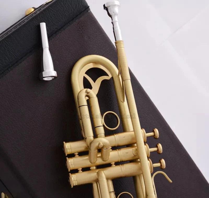 Professional Matt Brushed Bb Trumpet Horn Monel 2-Mouthpiece Leather Case