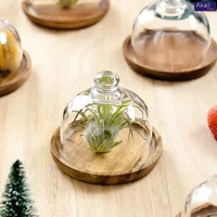 Wooden Dessert Plate Cake Stand Small Cake Tray with Glass Dome Lid Fruit Display Serving Tray Party Supplies 1