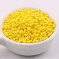 Goose yellow7