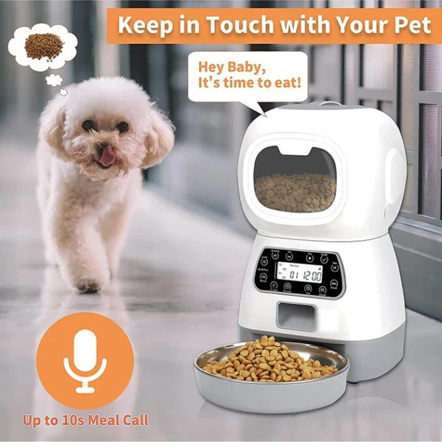 Pet Automatic Feeder pets