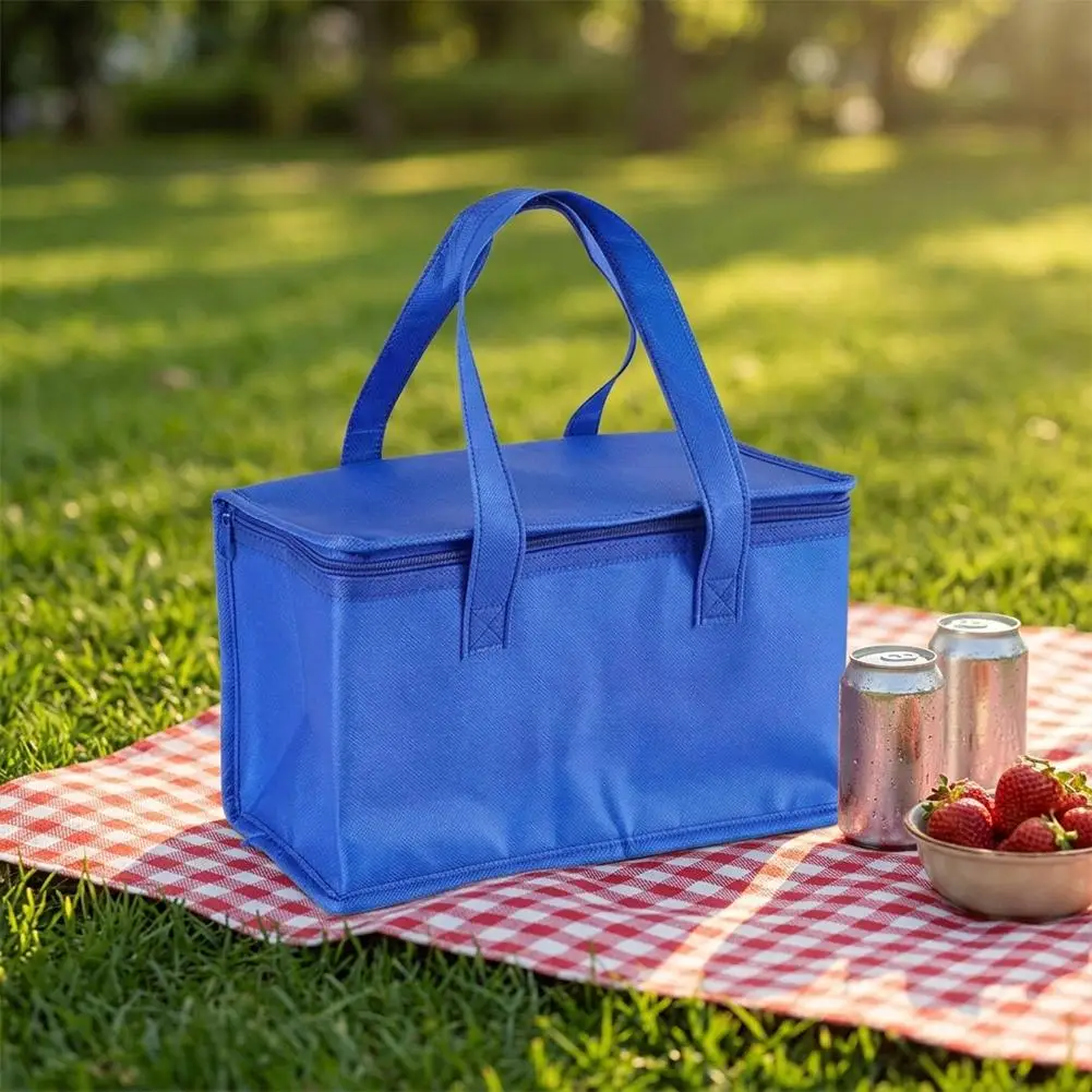 Triple-Insulated Portable Lunch and Beverage Carrier