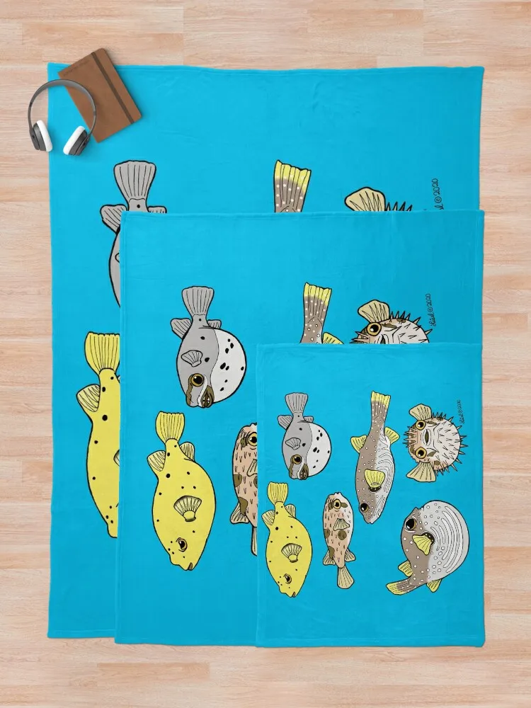 ���� ���� ���� üũ ���� ���, ���� ��� ������