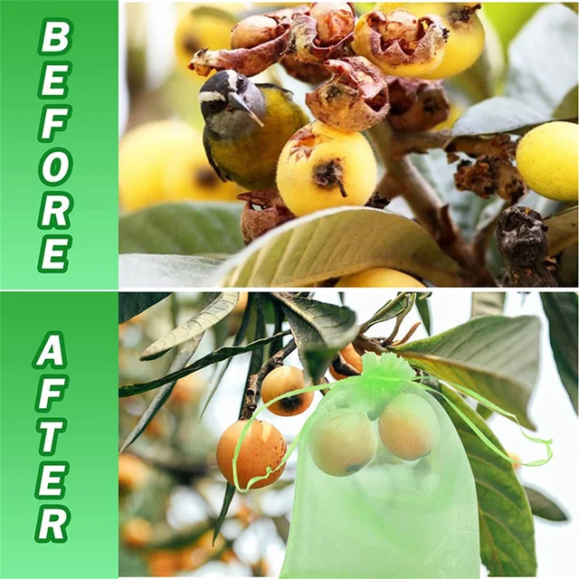 20Db Szőlővédő Zsákok Húzózsinórral Gyümölcsvédő Hálózsák Védő Tasakok Eper Organza Ajándék Táskákhoz - Image 5