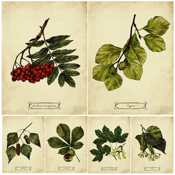 Illustrazione di piante di foglie, pittura su tela di arte della parete Vintage, arte della conoscenza di piante e alberi, stampa di Poster, decorazione domestica senza cornice