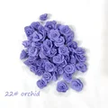 22 orchid