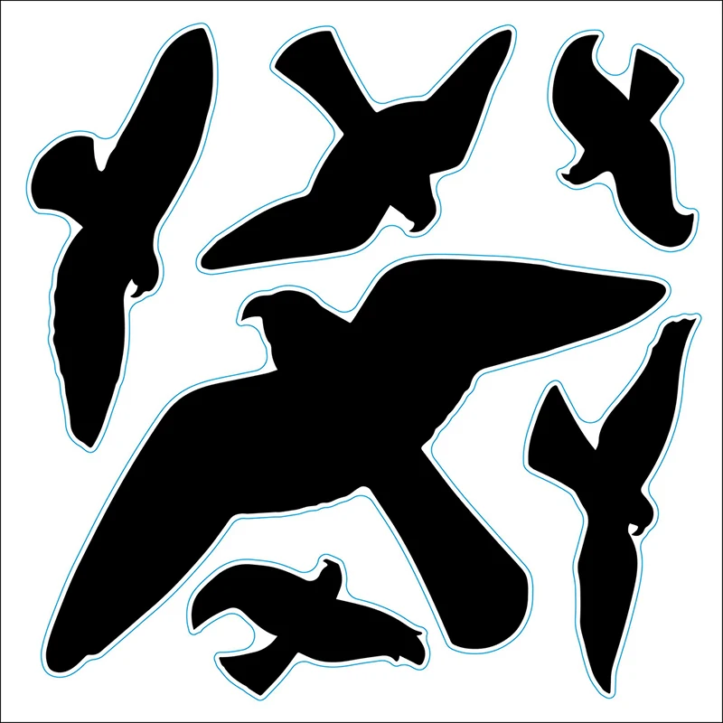 חלון זכוכית הגנה מפני ציפורים ציפורים ביונת ציפור צללית יונה