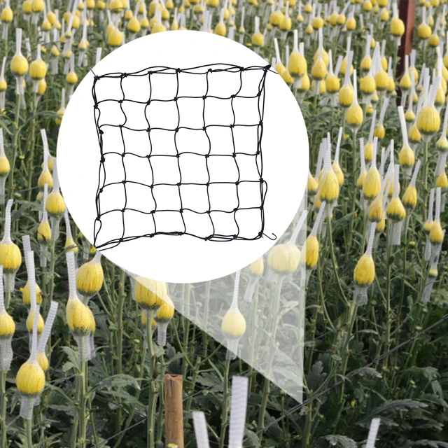 Rugalmas Növekvő Rácsos Nettó Poliészter Tartóberendezés Préselt Ághálózat Eltávolítható Horoggal, Nyújtható Kerti Kerítéshez