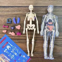Children's Human Skeleton Organ Model Toys Science Education Cognitive Assembly Skeleton Structure Puzzle Assembly Toys for Kids 2