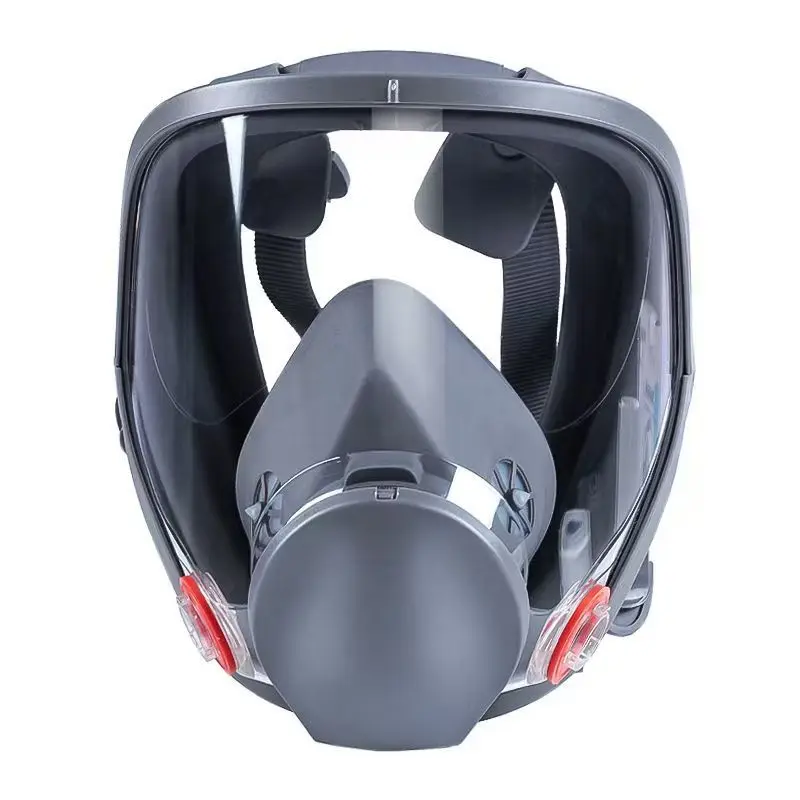 1 pcs mask