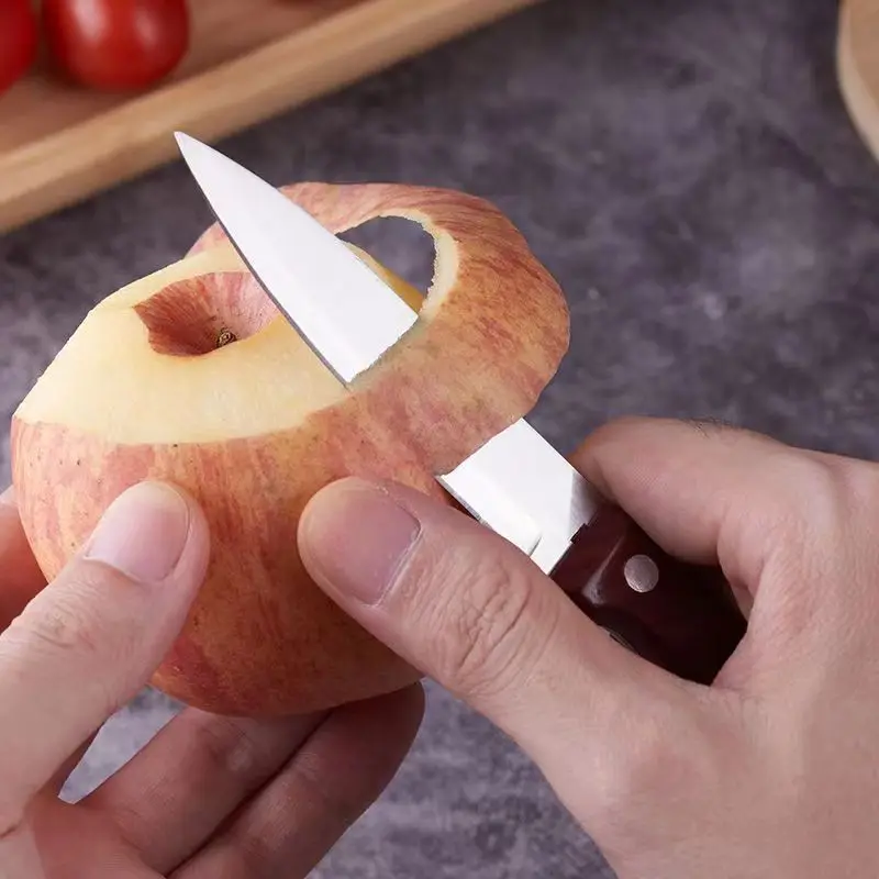 Stainless Steel Fruit Paring Knives 6