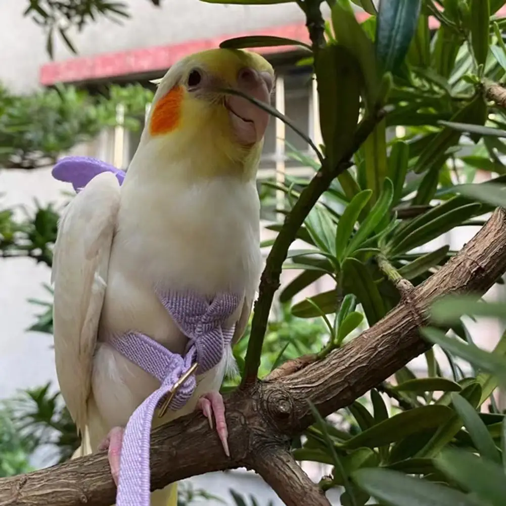 Regulowany zestaw smycz i uprząż dla ptaków Parrot Anti-bite uprząż treningowa dla papug Outdoor Flying Rope dla Cockatiel Small Birds