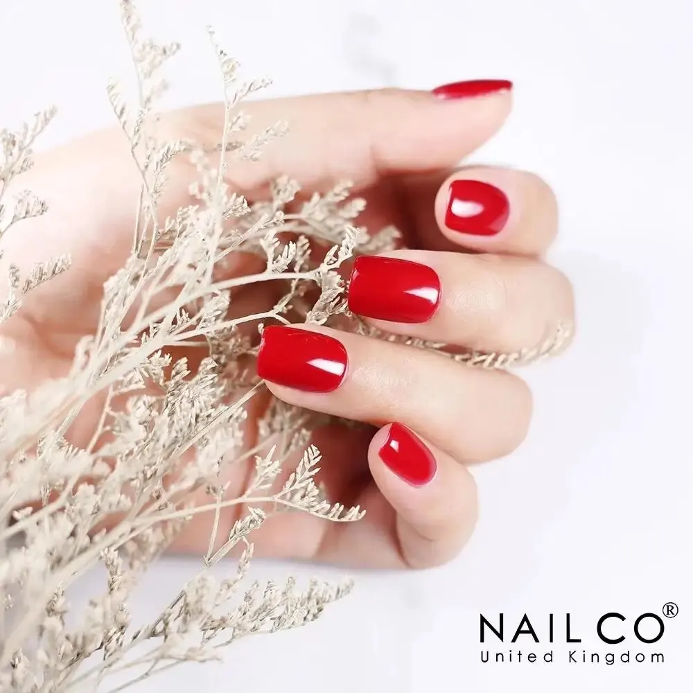 NAILCO 반영구 하이브리드 젤 네일 광택제, 블랙 레드 컬러 젤 광택제 네일 아트, 전문가용 UV 네일 용품, 15ml