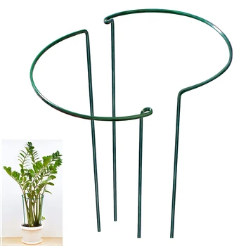 Supporti in Metallo per Piante Rampicanti da Giardino