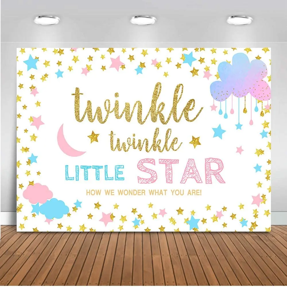 Twinkle Star Gender Reveal Decor Boy O Girl Gender Reveal Photography Background Twinkle Little Star Banner Supplies Background