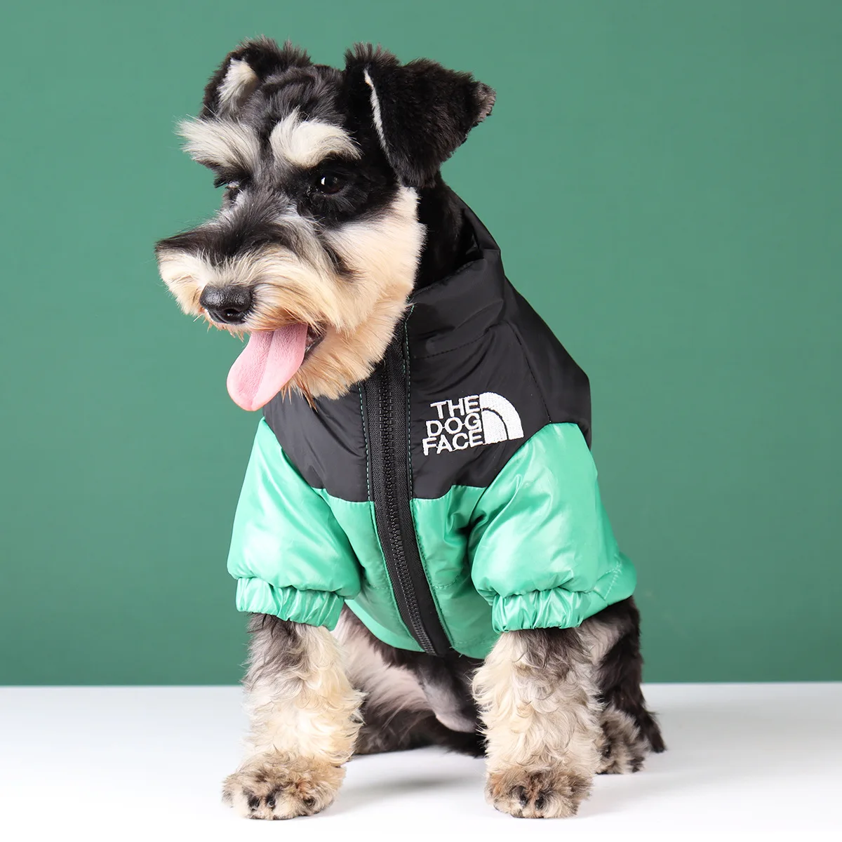 manteau the north face chien