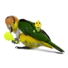 3pcs Bird Toys Parrot Rattle Bell Sand Hammer Maracas Bird Bite Wisdom Interactive Training Toy Pet Bird Toys Color Random 2