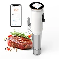INKBIRD 4 Types 1000W WiFi Sous Vide Machine EU Plug Sous Vide Cooker APP Remote Control Recipes Alarms Timer For Cooking 6