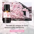 Cherry Blossom