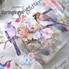2m/Roll Birds and the Fragrance of Flowers PET Tape Masking Tape For Sticker Scrapbooking Journal Card Making Stationery 3