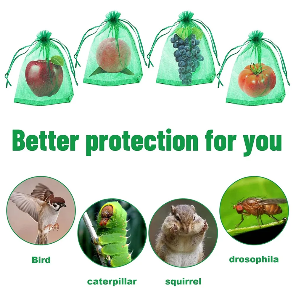 50pcs Fruit Grape Protection Bags for fruit trees vegetable