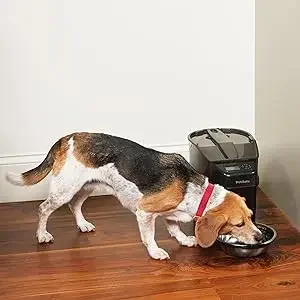 automatic feeder feed dispenser dog cat pet food bowl 