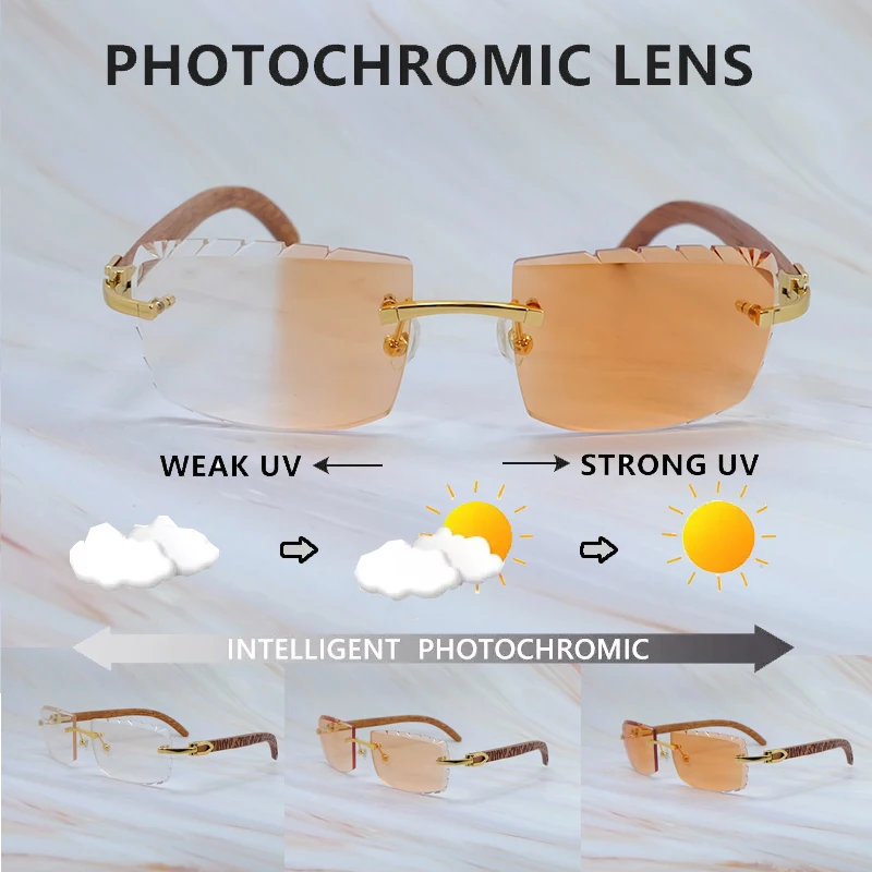 

Vintage Y2K Photochormic Lenses Two Colors Lenses 4 Season Trending Product Carter Glasses Interchangble Brand Luxury Glasses