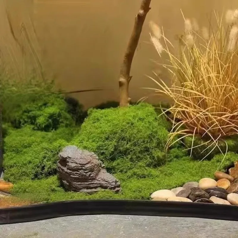 Artificial Green Plants Landscape Mini Eternal Life Moss Grass Fake Grass Garden Living Room Home Decoration DIY Crafts