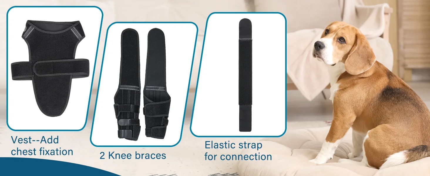 Excellent auxiliary design