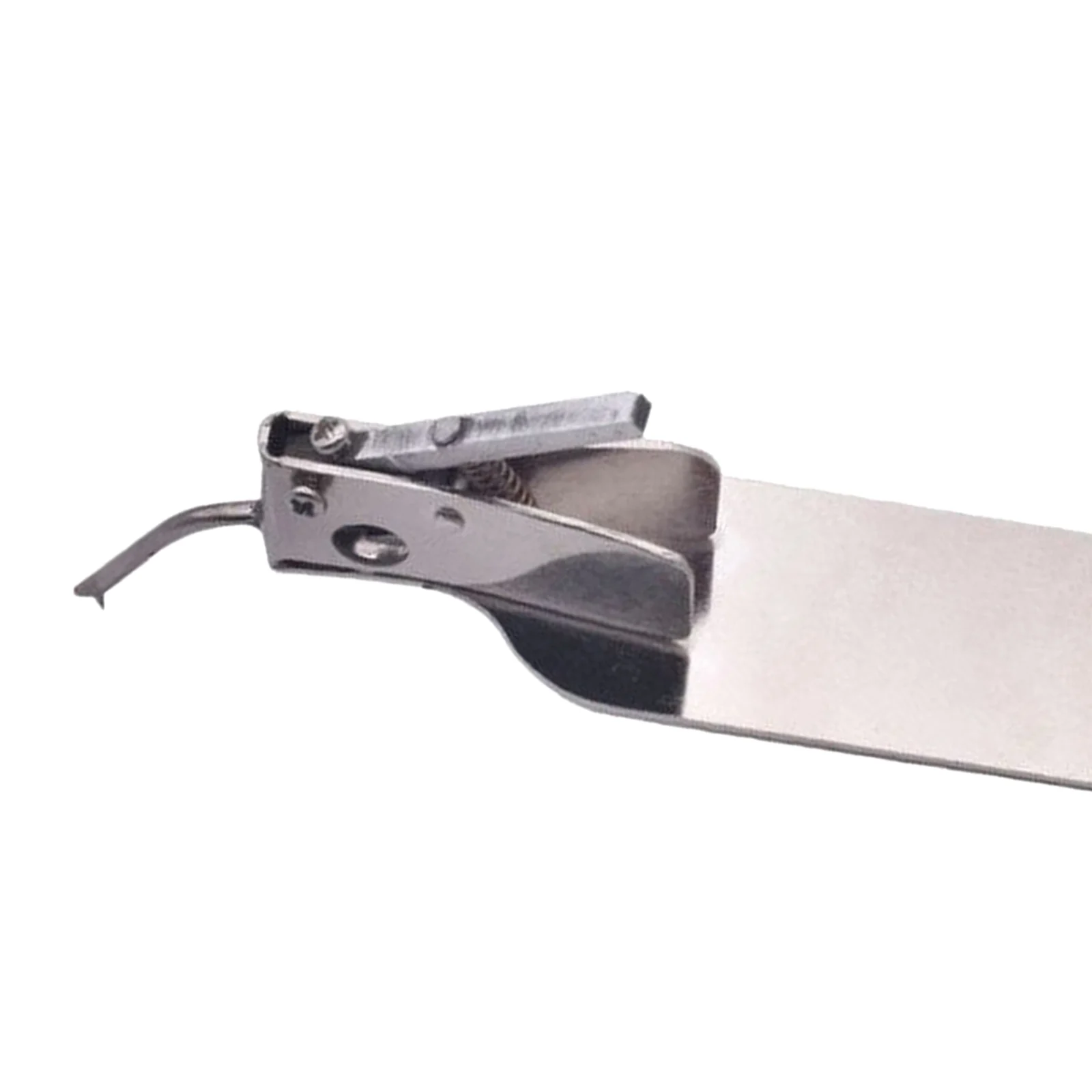 Master Worm Grafting Tool With Spare Tongue Single-End For Moving Queen Bee Larva Beekeeper Bee Rearing Grafting Tackle
