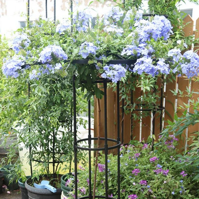 Tour Obélisque Jardin Treillis - Support de plantes hautes pour grimper des  vignes et des stands de fleurs - Support d'escalade de plantes en pot en  métal antirouille pour les fleurs Ve