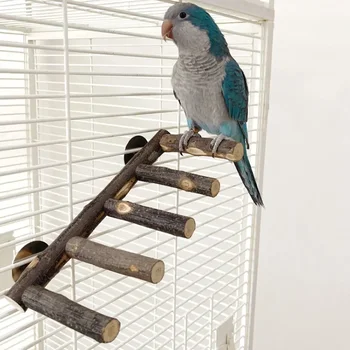 Natural Apple Wood Bird Perch Stand 1