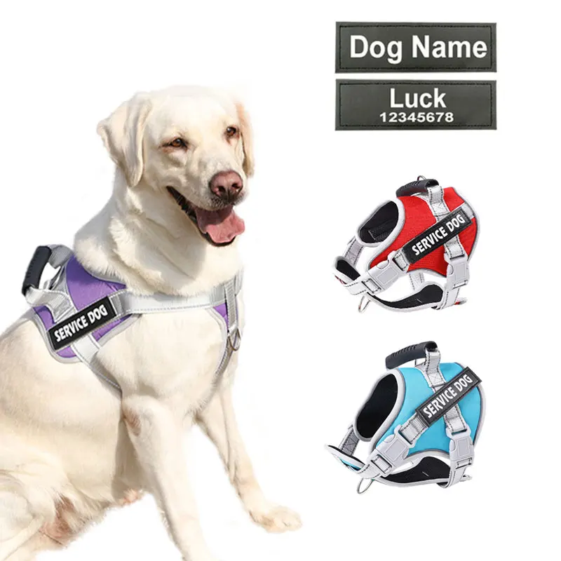 Labrador Julius Dog Lead Personalized Name Dog Harness Service Dog