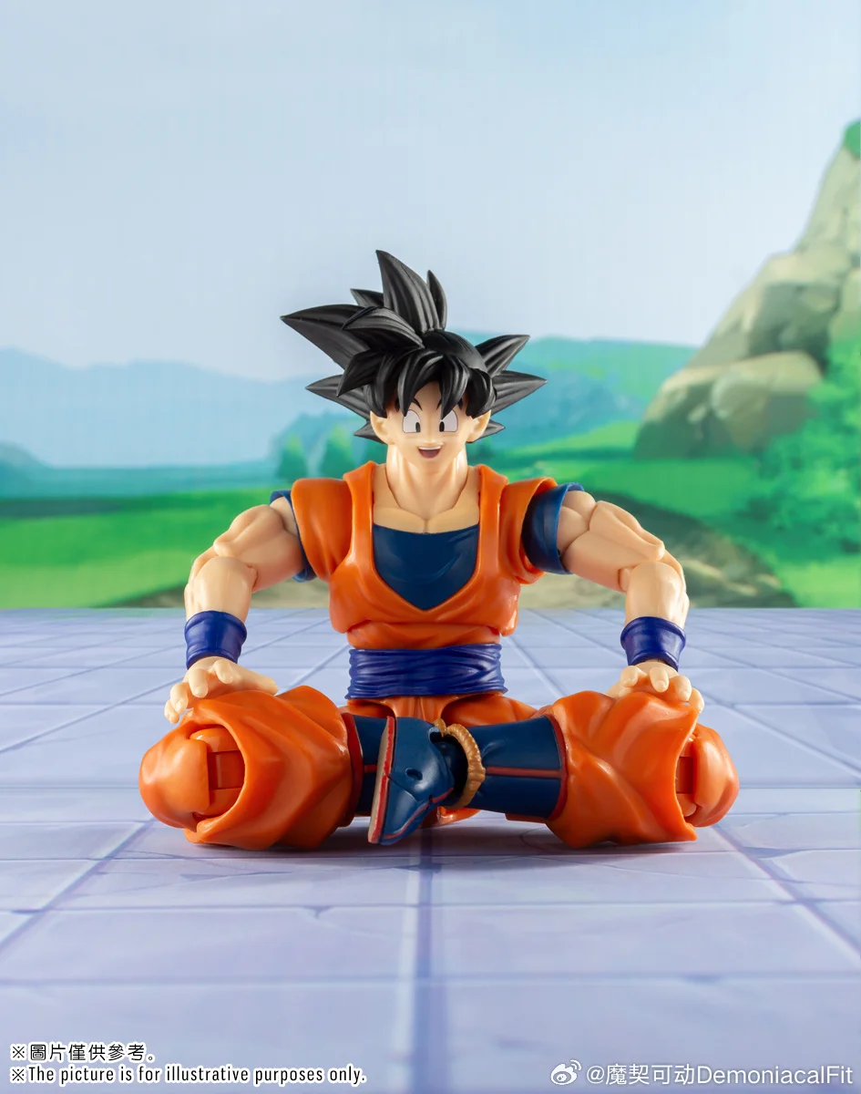 In Stock Demoniacal Fit DF Dragon Ball SH Figuarts SHF Martialist 