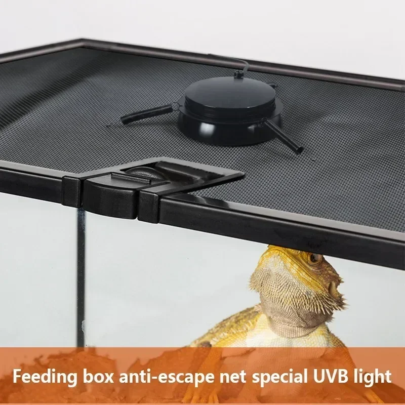 Turtle Lizard Reptile UVB Calcium Supplement Light UVB+UVA Sunbathing Lamps Amphibians Reptiles Breeding Boxes Lighting Fixtures