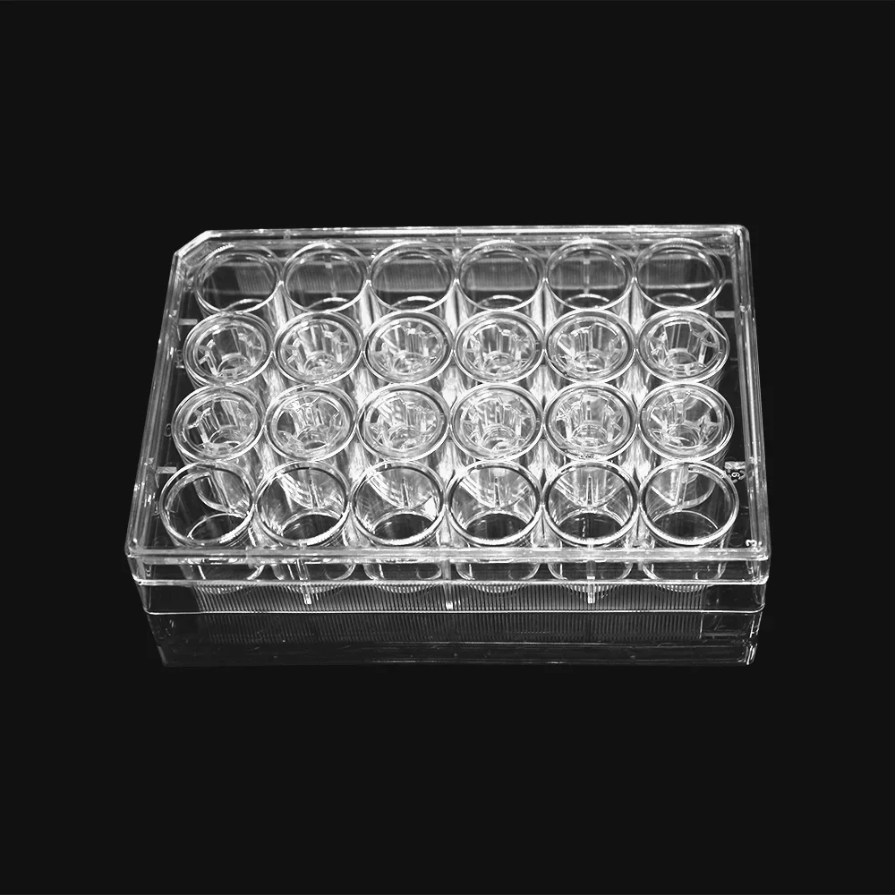 LABSELECT Tissue Culture Plate Insert PET/PC Membranes Sterile 6.5mm Diameter Pore Size 8.0um Individually Wrapped
